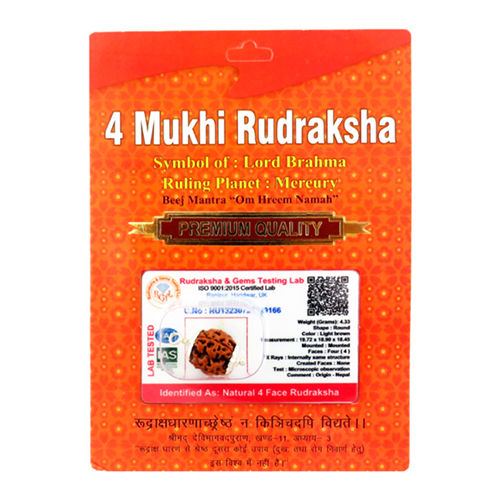 Casual 4 Mukhi Rudraksha Pendant