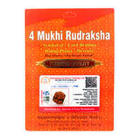 4 Mukhi Rudraksha Pendant - Occasion: Religious Ceremonies