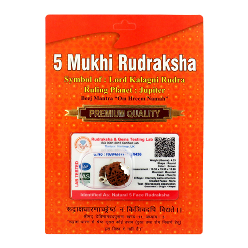 5 Mukhi Rudraksha Pendant