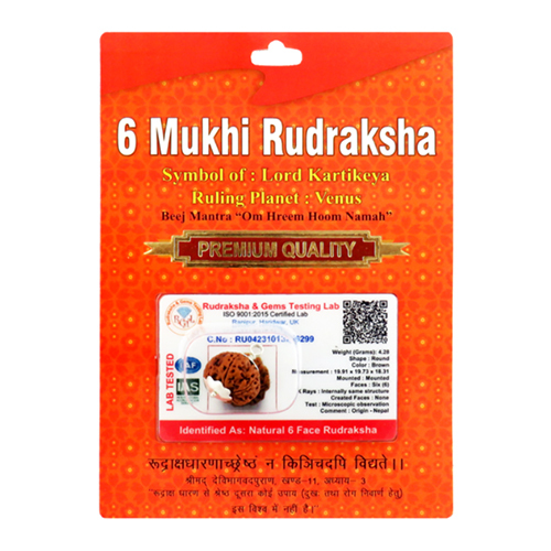 6 Mukhi Rudraksha Pendant