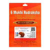 6 Mukhi Rudraksha Pendant - Occasion: Religious Ceremonies