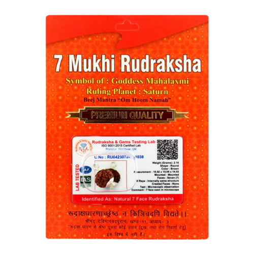 Daily Wear 7 Mukhi Indonesian Rudraksha Pendant