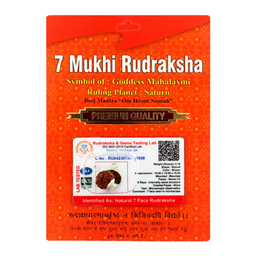 7 Mukhi Indonesian Rudraksha Pendant