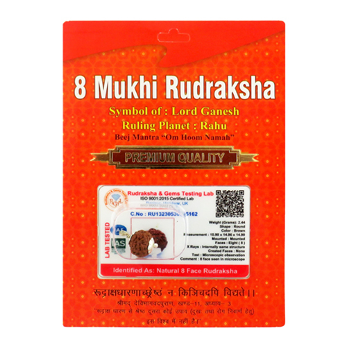 8 Mukhi Rudraksha Pendant