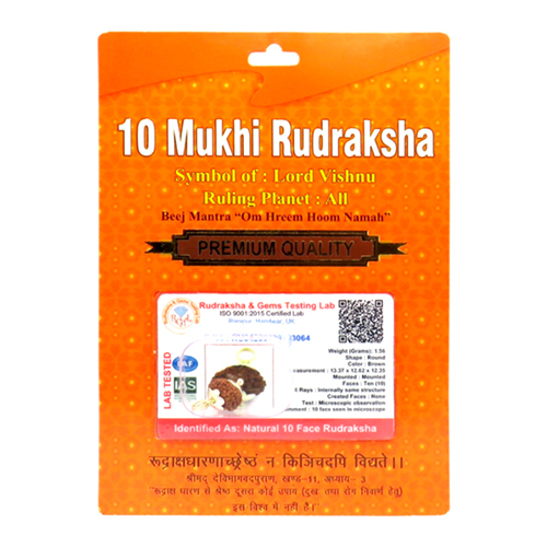 10 Mukhi Rudraksha Pendant