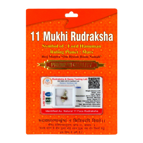 11 Mukhi Rudraksha Pendant