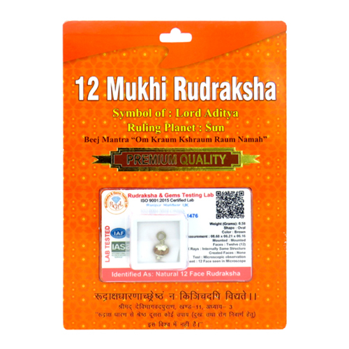 12 Mukhi Rudraksha Pendant