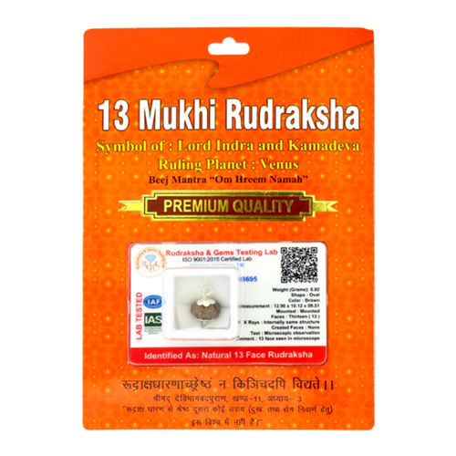 13 Mukhi Rudraksha Pendant Gender: Female