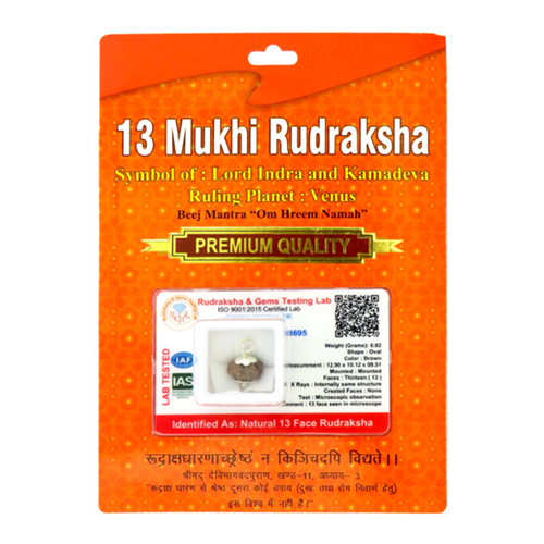 13 Mukhi Rudraksha Pendant