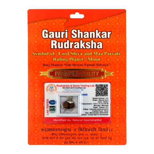 Gauri Shankar Rudraksha Pendant