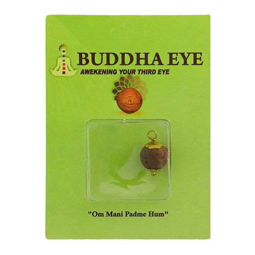 Daily Wear Buddha Eye Rudraksha Pendant