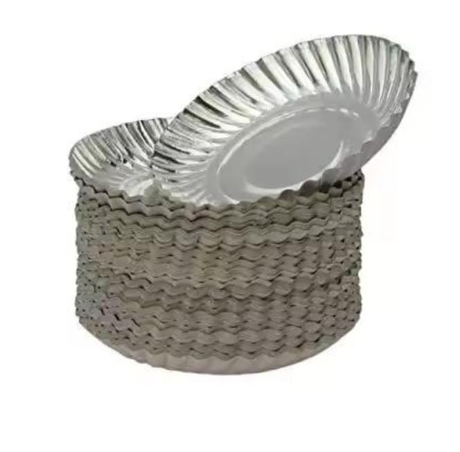 Paper Plate 7 - Application: Food Serving