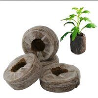 Cocopeat coin block Coir pith for kitchen and terrace gardening