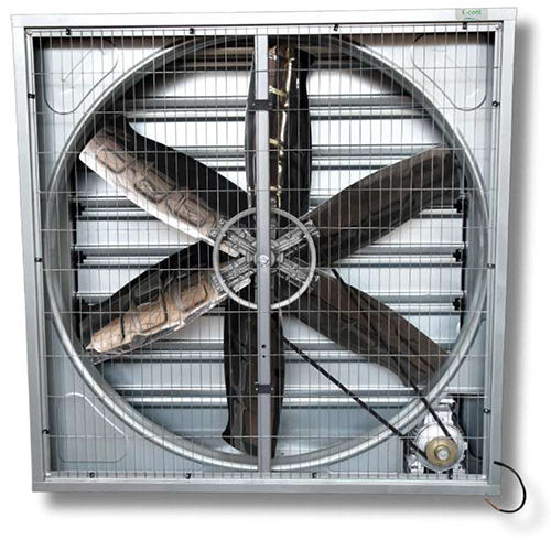 Drop Hammer Exhaust Fan Installation Type: Wall Mounted