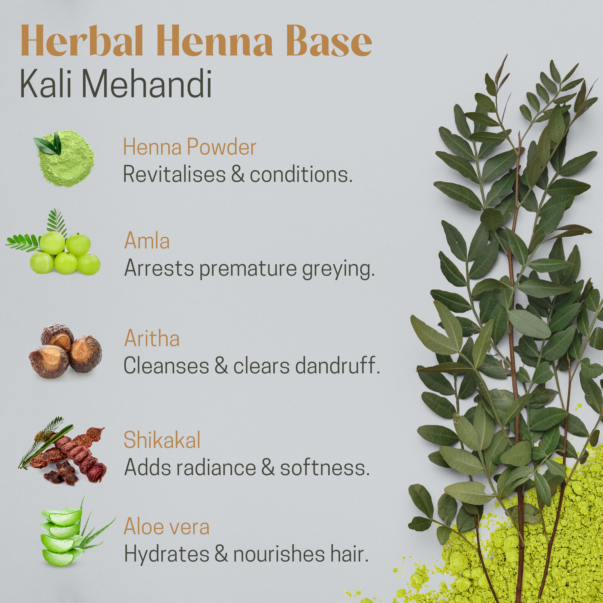 Excel's Herbal Kali Mehandi