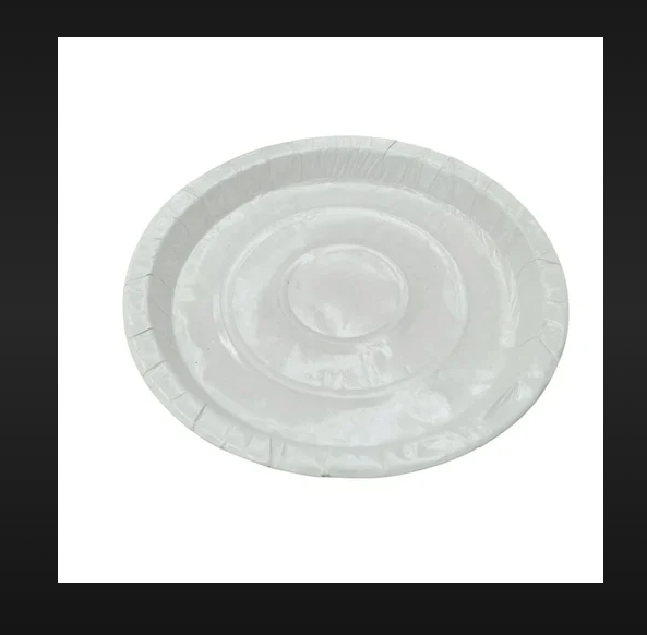 White Chila Paper Plate - Feature: Disposable
