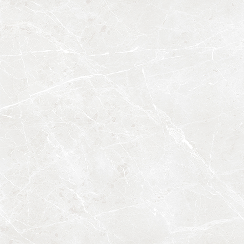 Bullberry Grey Gloss Porcelain Tiles - Size: 1200X1200Mm