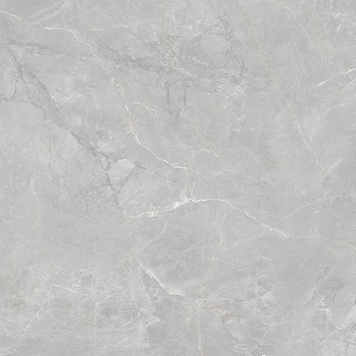 Digital Porcelain Tiles