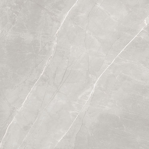 1200X1200Mm Royal Armani Grey Gloss Porcelain Tiles - Tile Sort: Plain