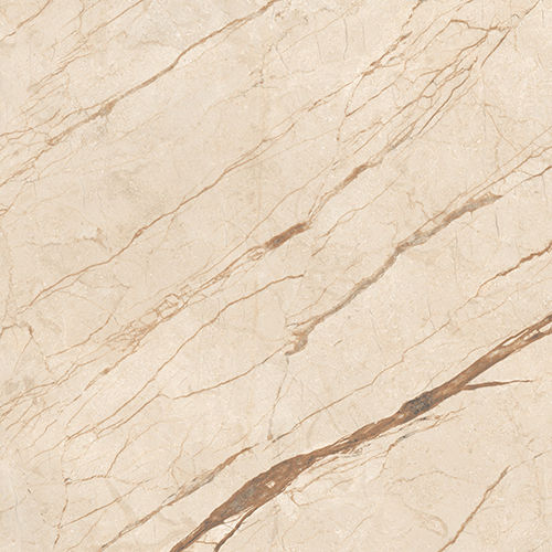 600X600Mm Anatomy Beige Floor Tiles - Grade: Industrial