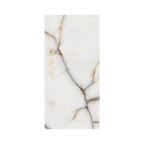 Aq 21110 600X1200Mm Gloss Floor Tiles - Grade: Industrial