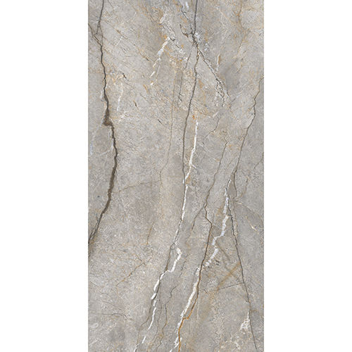 1200X2400Mm Strome Root Bathroom Tiles - Tile Finish: Gloss