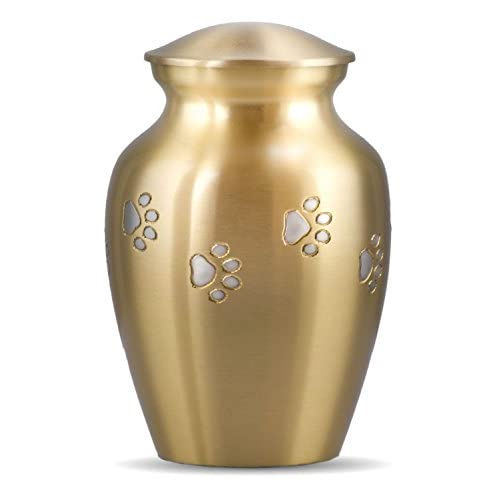 Golden Brass Pet Cremation Urn For Ashes - Finishing: Polishing