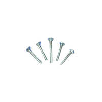 Round Head Square Neck Bolt - Size: Various Available