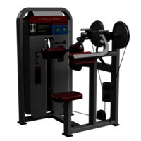 Lateral Raise Gym Equipment - Steel Body, 44x47x60 Inches | Customizable PU Foam Seat, MIG Welding Technology, Lifetime Fabrication Warranty