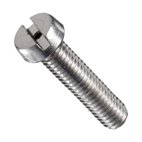 Stainless Steel Slotted Cheese Head Screw