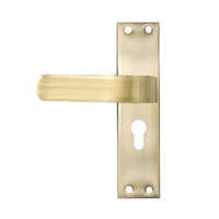 Ss-12 Ant Stainless Steel Mortise Handle - Application: Door