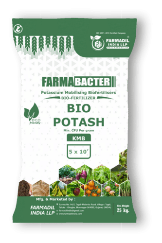 Potash Mobilizing Biofertilizer KMB