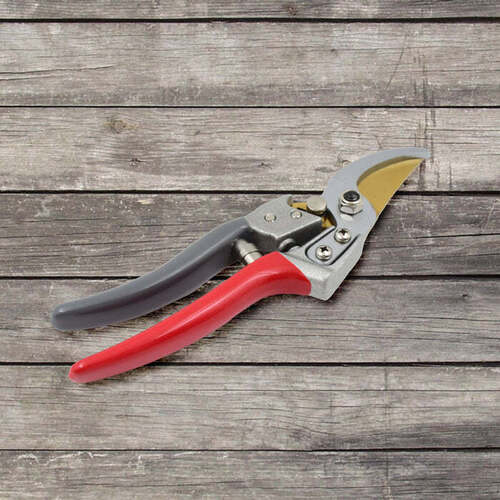 Garden  Scissor  8687