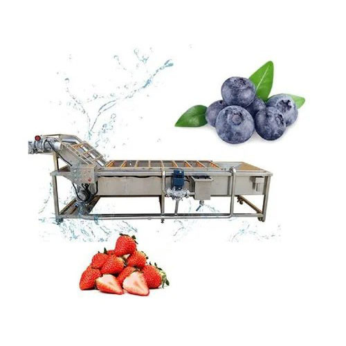 Strawberry fruit industrial washing machine