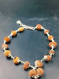 1 To 14 Mukhi Indonesia Rudraksh Silver Bracelet