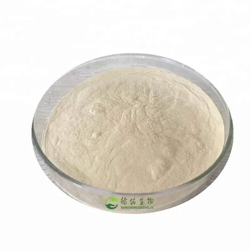 Xanthan Gum