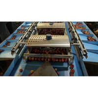 Double Line Apple Fruit Grading Machine