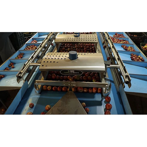 Hte24X20 Double Line Apple Fruit Grading Machine - Capacity: 3000 Kg/Hr