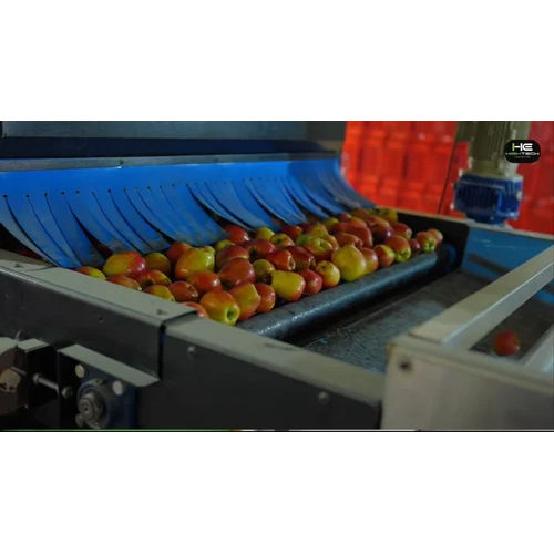 Automatic Apple Grading Machine - Feature: High Efficiency