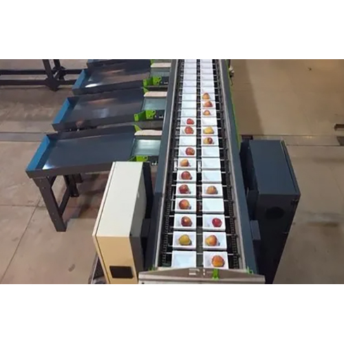 Fruit And Vegetable Color Sorting Machine