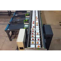 Fruit And Vegetable Color Sorting Machine