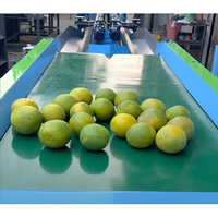 Sweet Lemon Size Sorting Machine