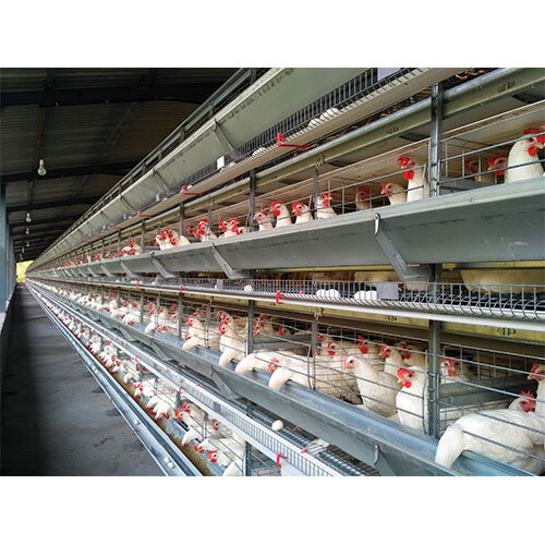 Layer Battery Cage