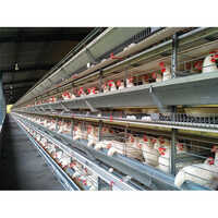 Layer Battery Cage - Steel, 61x63.5x44.5cm / 71x49.5x43cm, Supports 9-10 Laying Birds | Automatic Feeding System, Optimized Egg Collection
