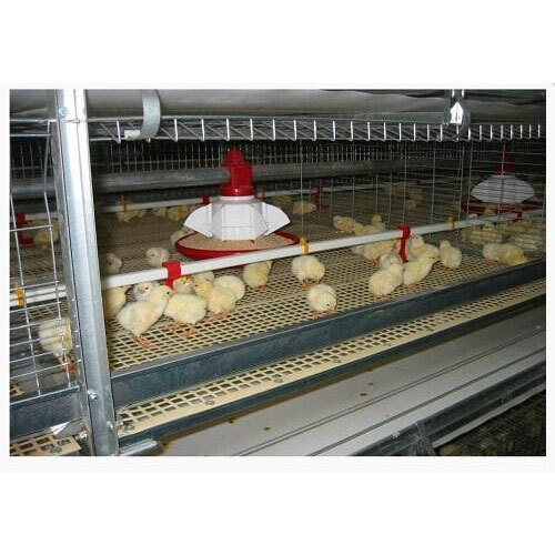 Poultry Broiler Battery Cage