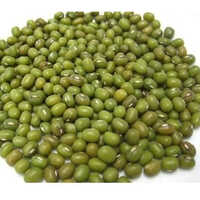 Green Moong Pulse - Cultivation Type: Organic