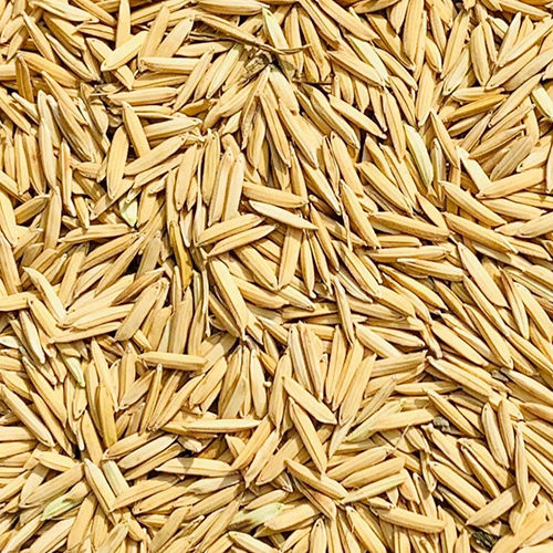 Basmati Paddy Seeds - Color: Brown