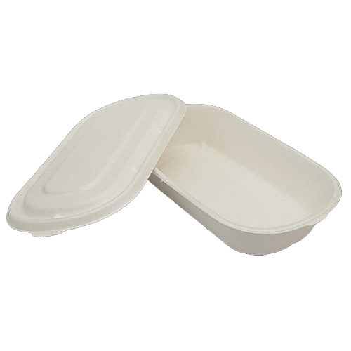 Bagasse Meal Tray with Lid