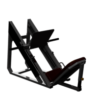 45* LEG PRESS