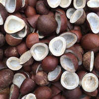 Fresh Dry Coconut - Color: Brown